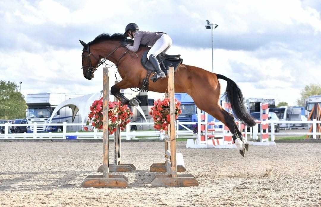 Arena Uk Major Showjumping Championships 2026